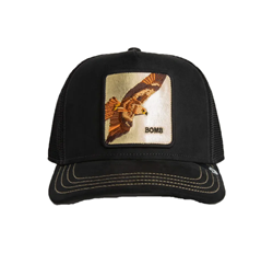 BASEBALL CAP GOLDEN BOMB VOID